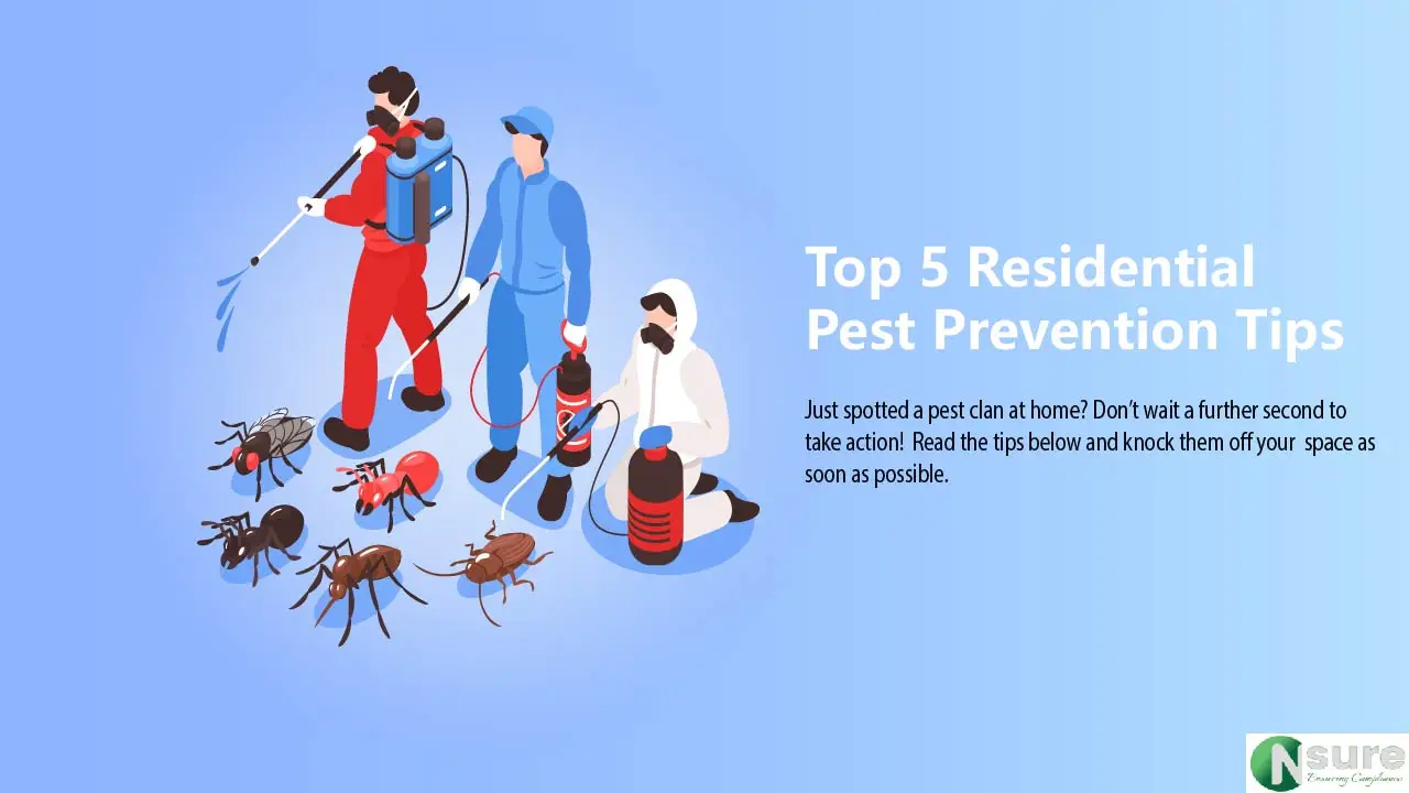 Top Residential Pest Prevention Tips - Ensure
