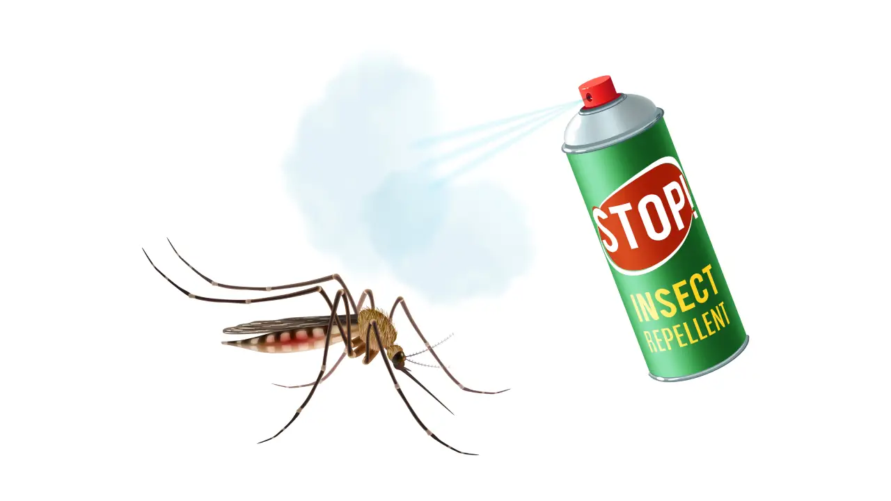 Insect Repellents - Ensure