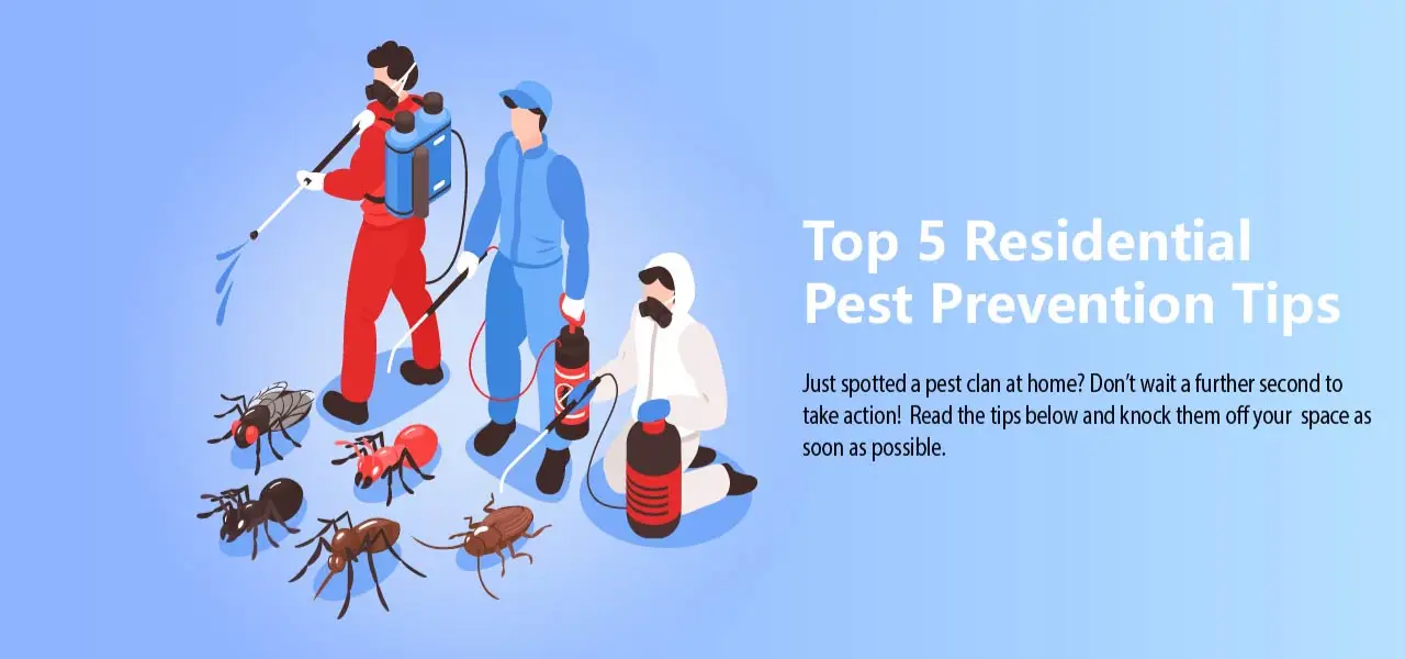 Residential Pest Prevention Tips - Ensure