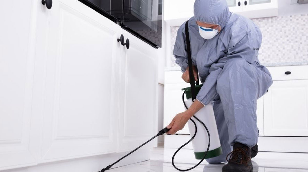 humidity and moisture control protecting your home from pest infestations