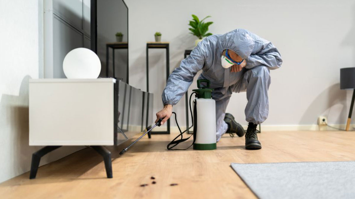 Preventative Pest Control: How to Stop Pest Infestations Before They Start