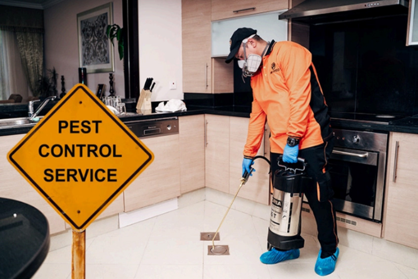 best pest control company in Dubai and Sharjah