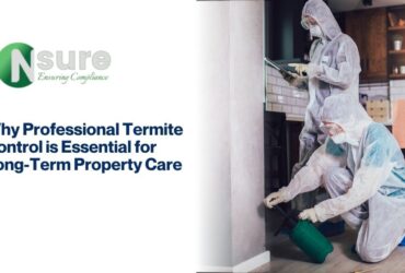pest control services in dubai