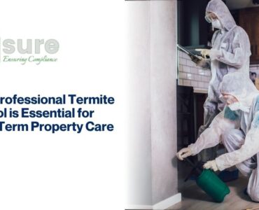 pest control services in dubai