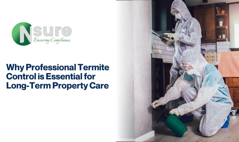 pest control services in dubai