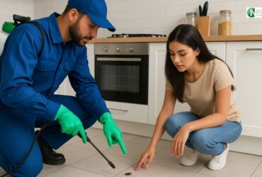 cockroach pest control dubai pest control services in sharjah